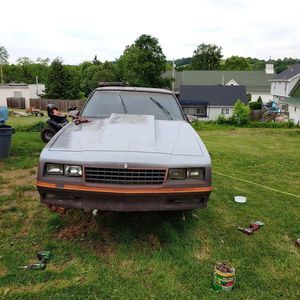 Meet your Posher, Rodney